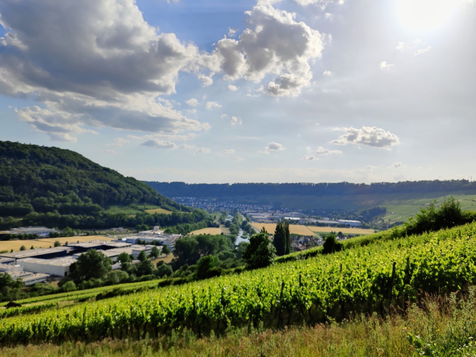 Unternehmen in Hohenlohe